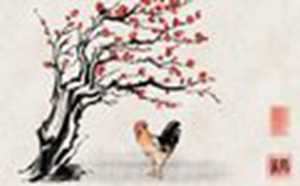 81年属鸡的十年大运(81年属鸡的十年大运是在38岁)