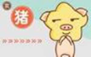 能看每日生肖的日历(能看每日生肖的日历app)