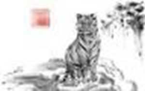1998年属虎2022年运势(1998年属虎2022年运势如何)