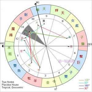十一宫-神算网(十一宫的含义)