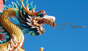 十二生肖属阳属阴龙属于阴还是属阳-神算网(龙是属阴还是属阳)