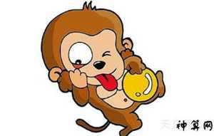 属猴人2019运势运程(属猴人2019运势运程如何)