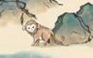 属猴的家中适合摆放什么(属猴的家中适合摆放什么摆件)