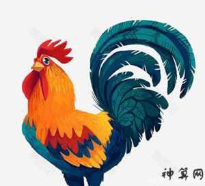 十二生肖中的鸡和凤(十二生肖中的鸡和凤凰的关系)
