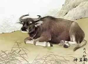 不富裕的生肖是什么(不富裕的生肖是什么生肖)