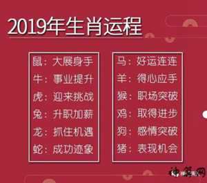 收物什么生肖(收物什么生肖最好)