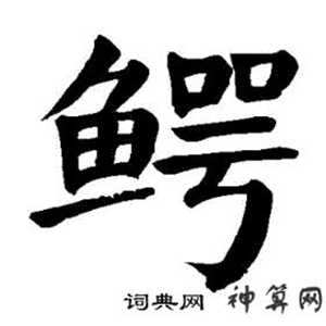 字鳄是属于什么生肖(鳄是什么字)