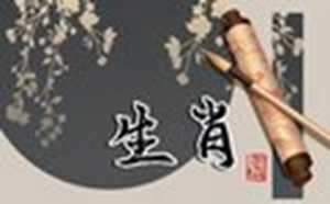 2022年属相是什么命(2022年属相是什么命雨1988年属相命运)