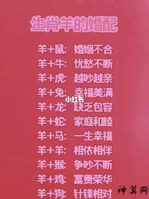 兄弟姊妹属相搭配表(兄弟姊妹属相搭配表图片)