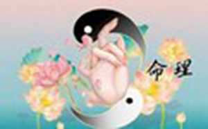 称骨算命(称骨算命)