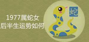 77年属蛇46岁以后的一生命运(77年属蛇46岁以后的一生命运)