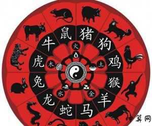 右的生肖(右的生肖有几个)