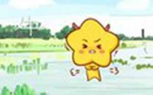 属牛人2021的幸运花是啥花-神算网(属牛人2021年幸运花)