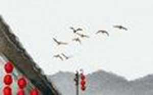 气运摆件龙的摆放讲究(气运摆件龙的摆放讲究什么)
