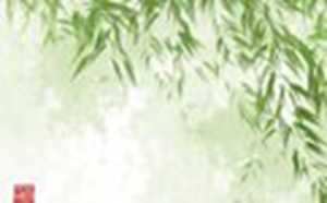 2022年属虎本命年穿什么颜色(2022年属虎本命年穿什么颜色衣服好)