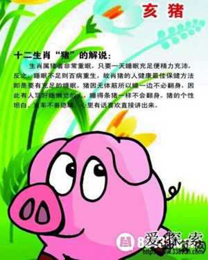 什么生肖会强词夺理