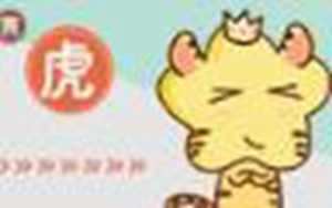 十二生肖图片高清大图虎(十二生肖图片大全大图)