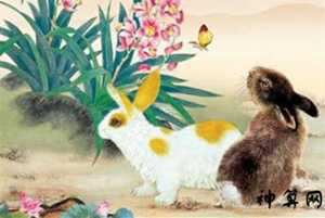 2017年7月属虎本周运势(2017年7月属虎本周运势如何)
