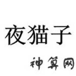 夜猫子是什么生肖