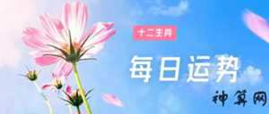 12生肖查7月每天运气(十二生肖7月份运势)