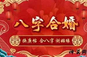 八字合婚(八字合婚)