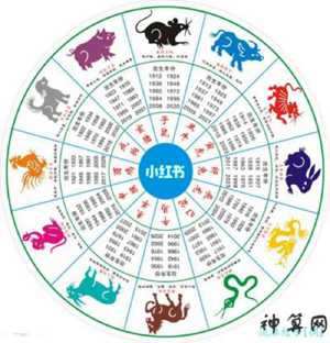 东方生肖是那几肖(东方生肖是那几肖动物)