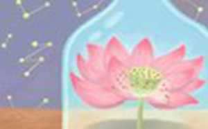 根据出生日期怎么查五行(根据出生日期怎么查五行非运势网)