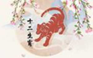 杨清华2020生肖运势(杨清华2022年生肖运势)