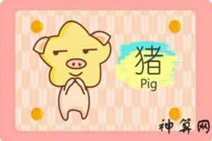 95年2月份出生属什么生肖