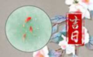万年日历下载(日历万年历新版本)