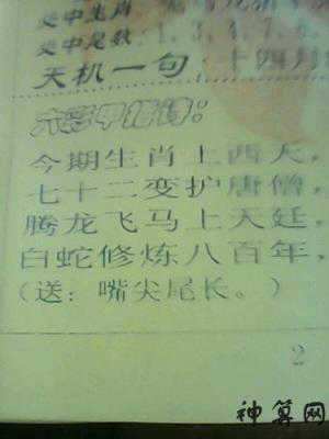 睥是什么生肖(睥是什么生肖的动物)