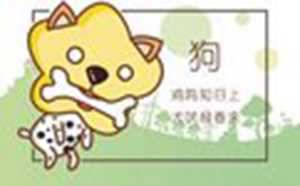 2021年1月27日冲什么生肖(2021年1月27号冲什么生肖)