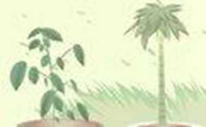 进门放什么摆件风水好(家里开门就看到什么摆件最好)