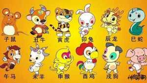 君子扬意思是什么生肖(君子扬是哪本小说的人物)