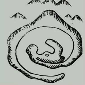 阴阳风水网(阴阳风水网络授课)