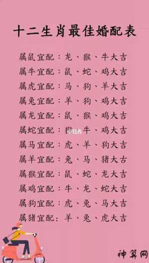 85年跟什么生肖配对