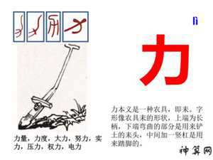 力字是什么生肖(力字是什么生肖答案)