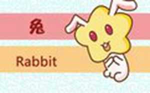 生肖兔2021年运势及运程每月(生肖兔2023年运势及运程)