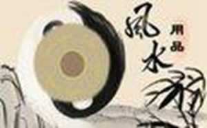 客厅鲜花摆放图片大全(客厅最旺宅的大型植物)