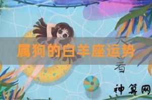 属狗白羊座运势(2023年属狗白羊座运势)