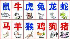 九字之前八字赢猜生肖(九字前是什么生肖)
