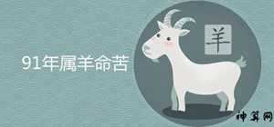 1991年12月生的人运势(1991年12月出生的命运)