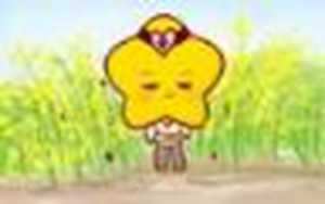 天蝎座信息(天蝎座信息)