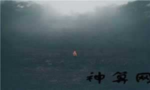 2023生肖兔邮票设计(中国最贵的邮票前十名)