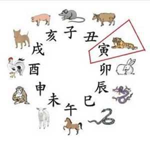 寅时是几点(寅时是几点呢)