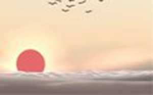 公司布置风水教学(公司布置风水教学违法吗)