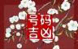 79年属羊手机号码怎么选(最旺属羊人的5个数字)