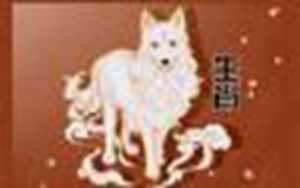 82年属狗的交运时间表(82年属狗的交运时间表几点)