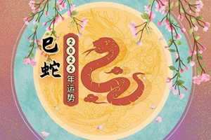 属蛇终于转运了(2023年属蛇终于转运了)