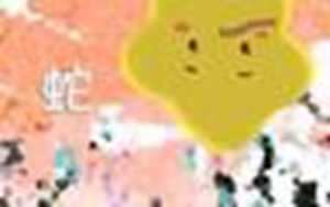 十二生肖中哪个生肖最聪明(十二生肖中哪个生肖最聪明可爱)